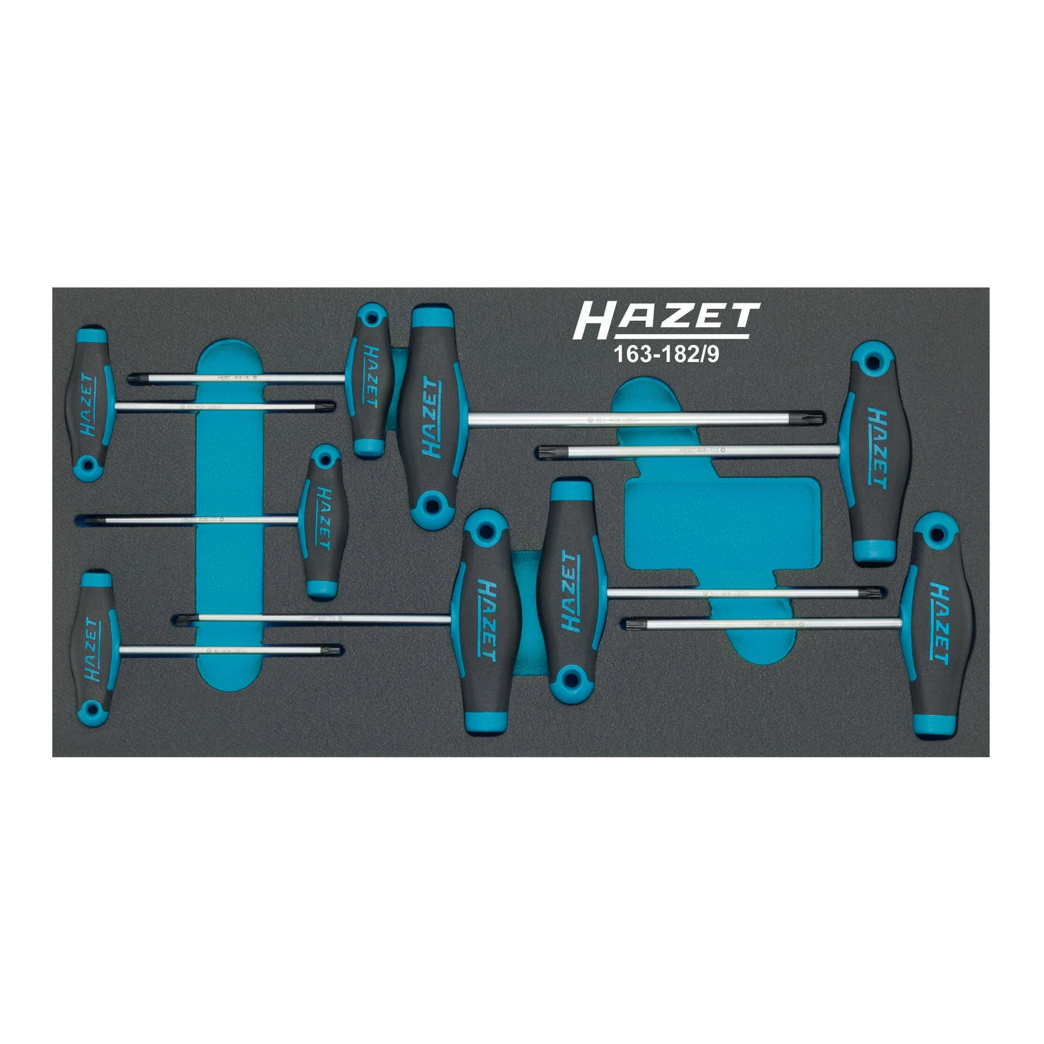 HAZET | Werkzeugmodul | 9-teilig