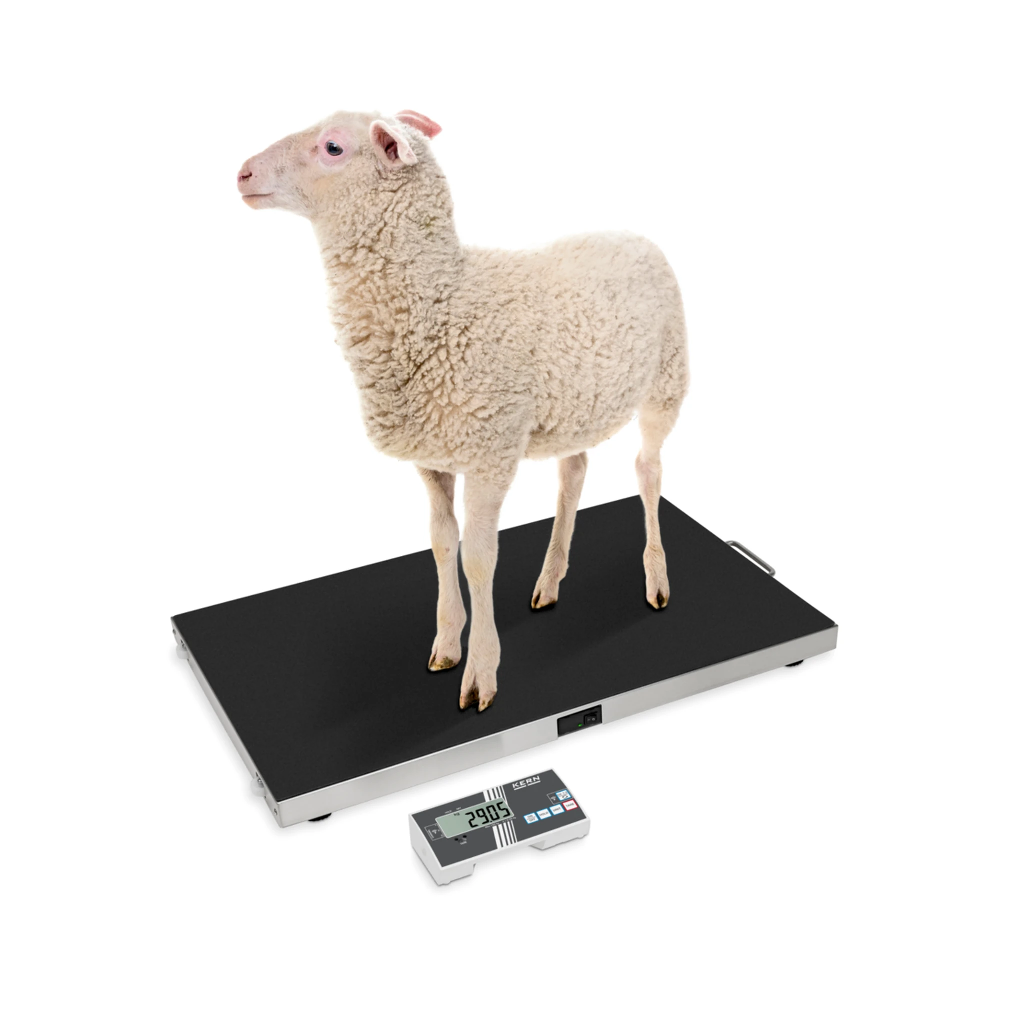 KERN | Plattformwaage (Max.) 150 kg | 0,05 kg – Bild 9