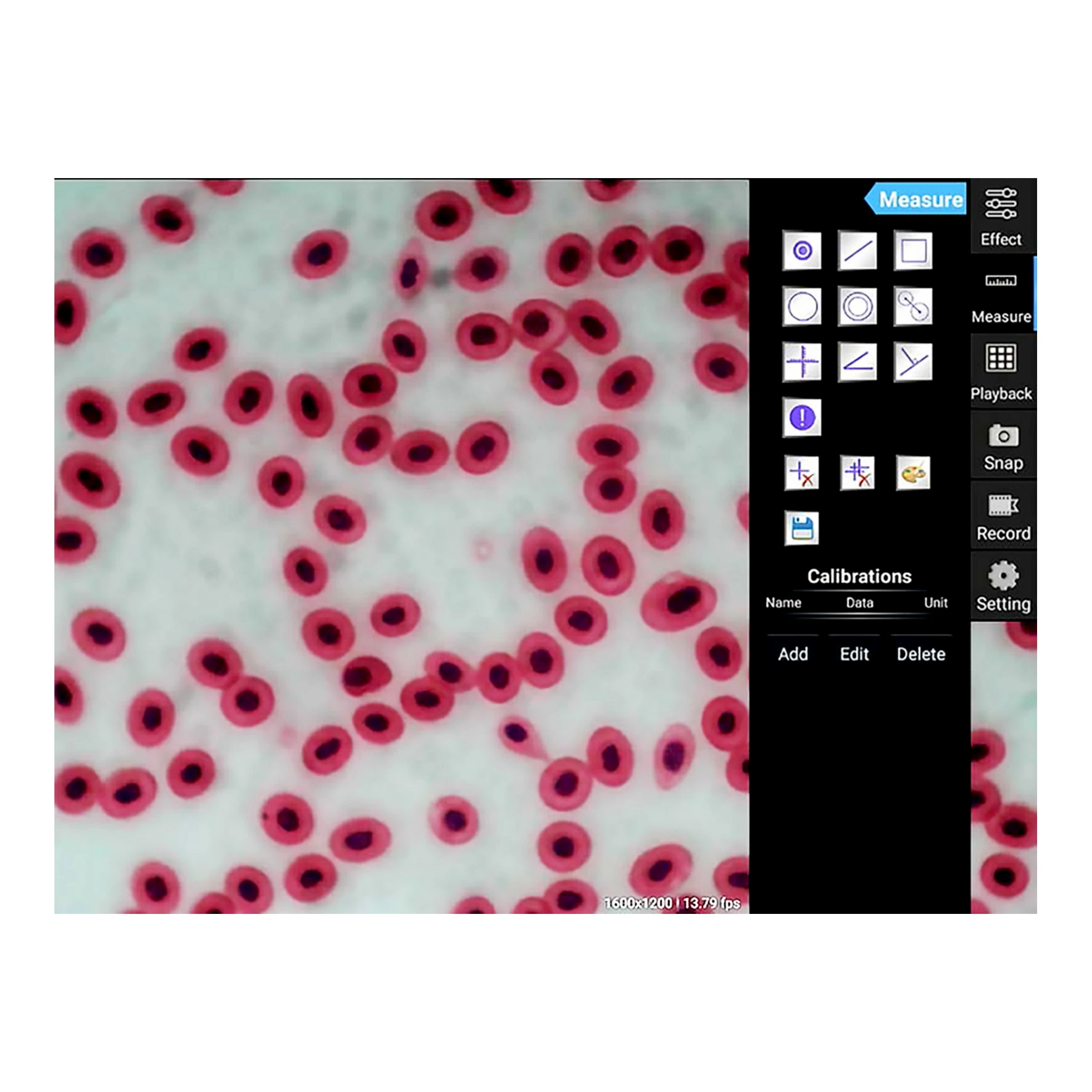 KERN | Tablet-Mikroskopkamera ODC 241 (5 MP, WLAN, USB 2.0, HDMI, SD Kartenslot, Drahtlose Datenübertragung, HDMI Micro) – Bild 5