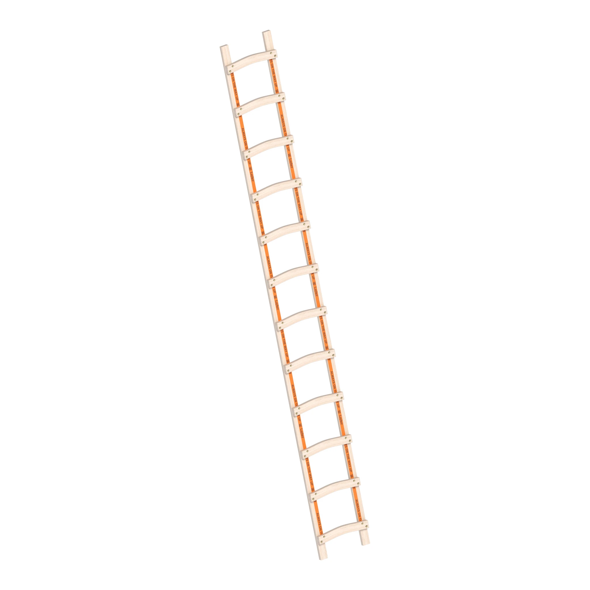 LAYHER | Holzdachdeckerleiter | 1 x 12 Sprossen
