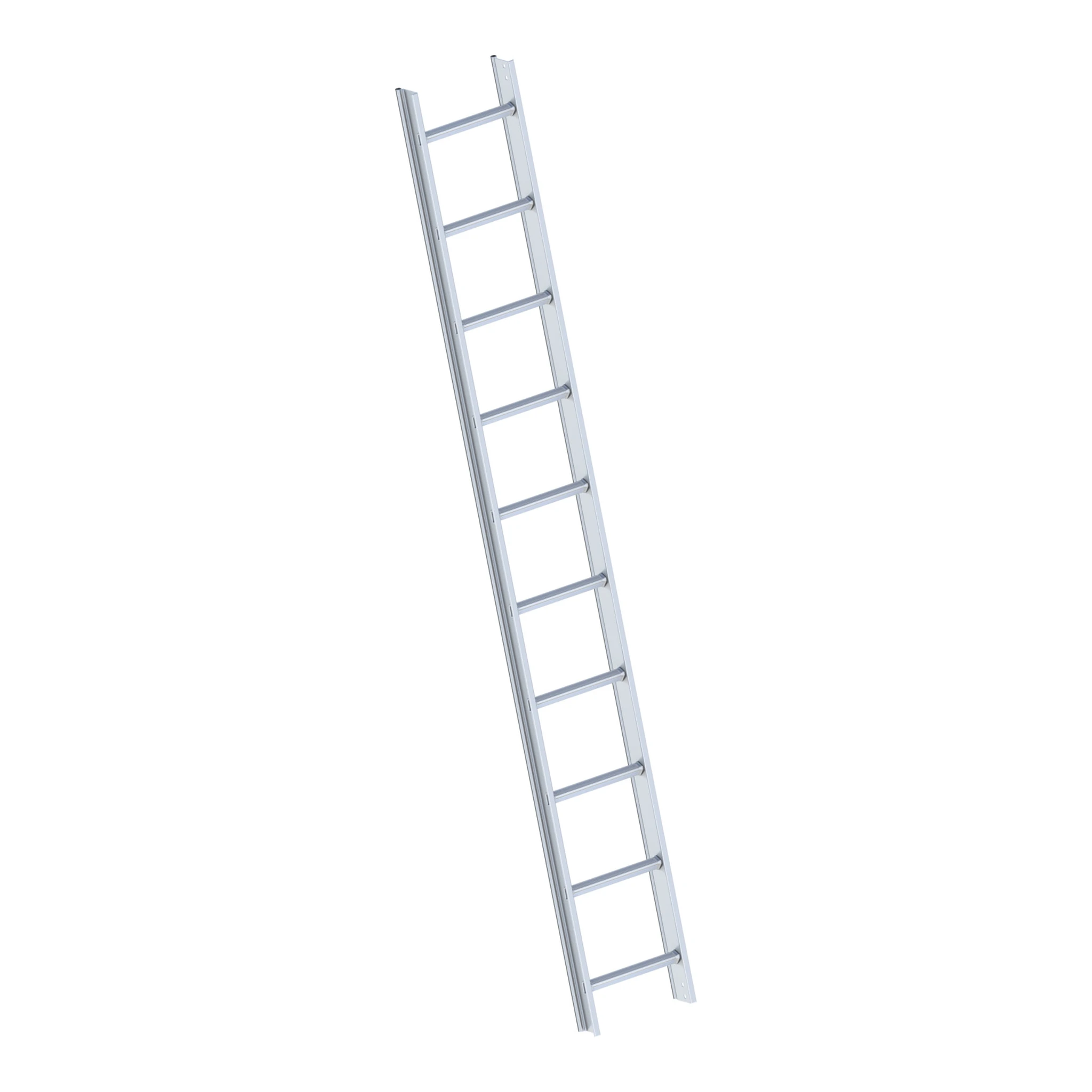 LAYHER | Dachauflegeleiter | 1 x 10 Sprossen