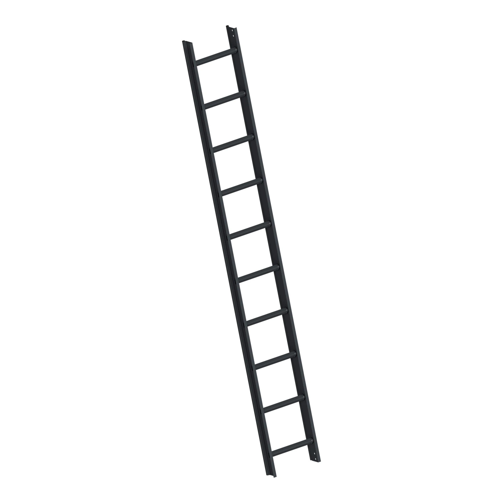 LAYHER | Dachauflegeleiter | 1 x 10 Sprossen