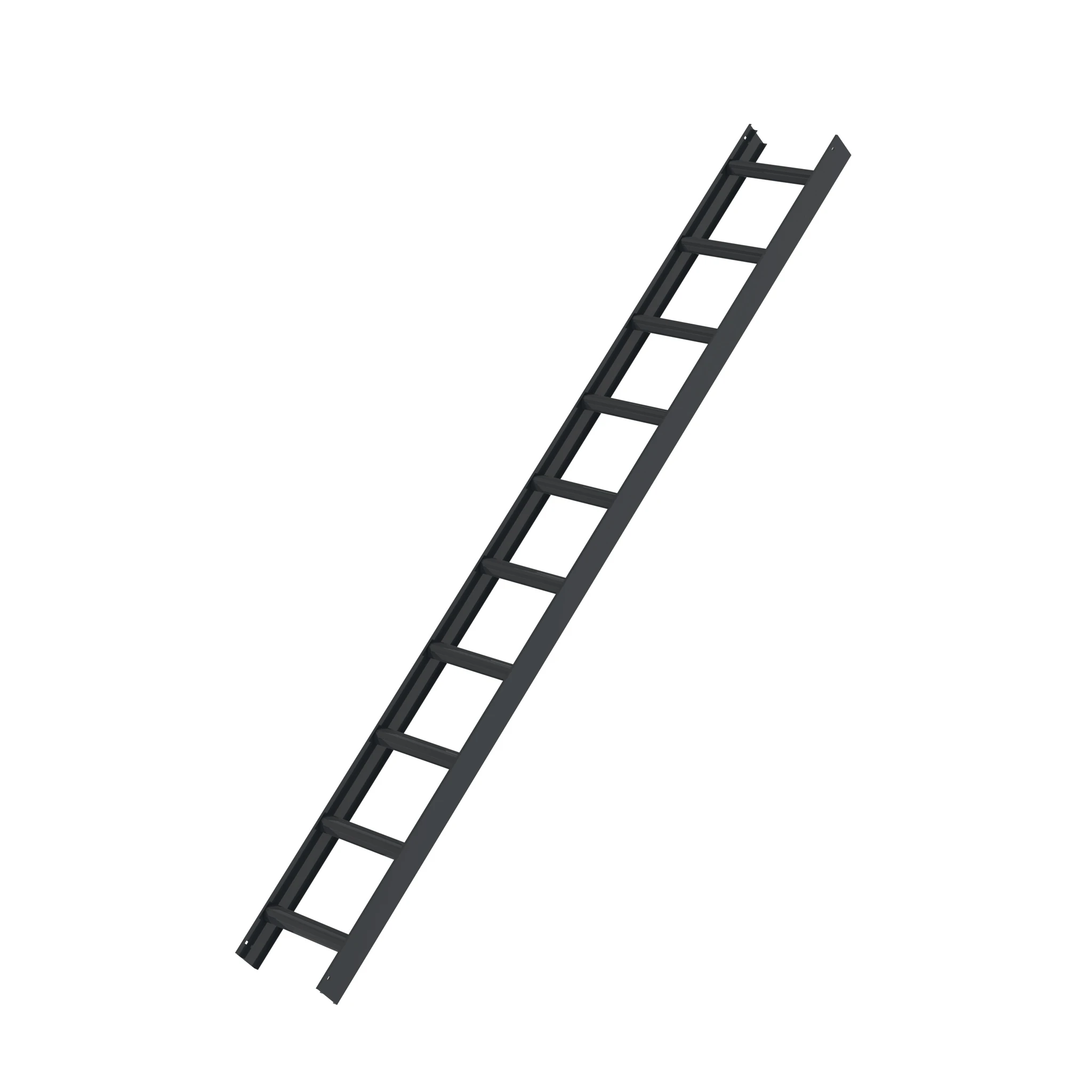 MUNK | Dachleiter Anthrazitgrau 10 Sprossen