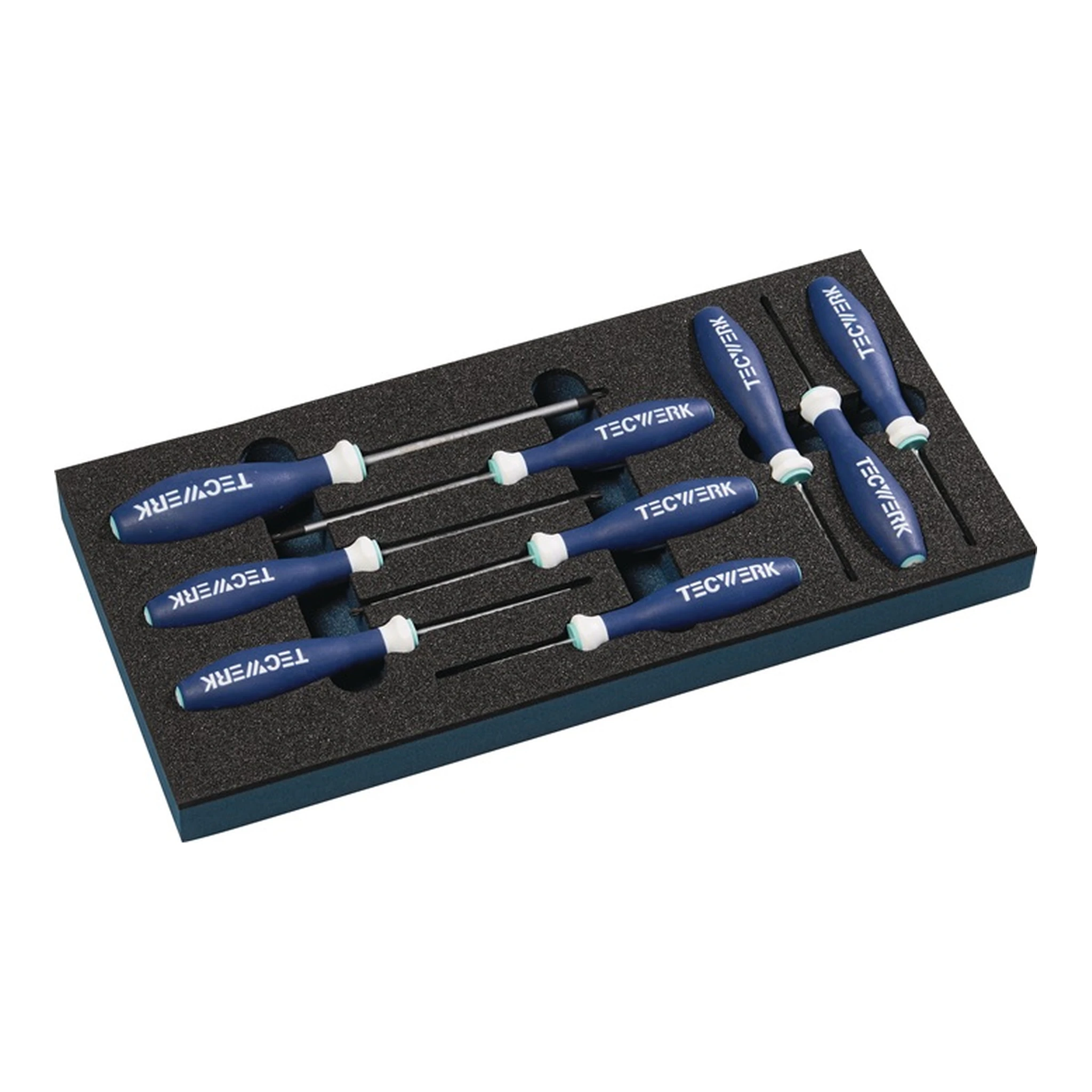 TECWERK | Werkzeugmodul | 9-teilig 1/3-Modul T 6-T 30